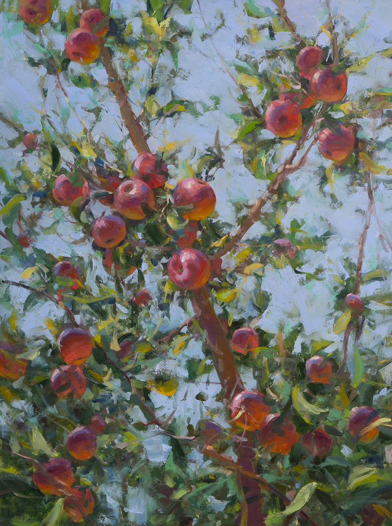 Apple Harvest