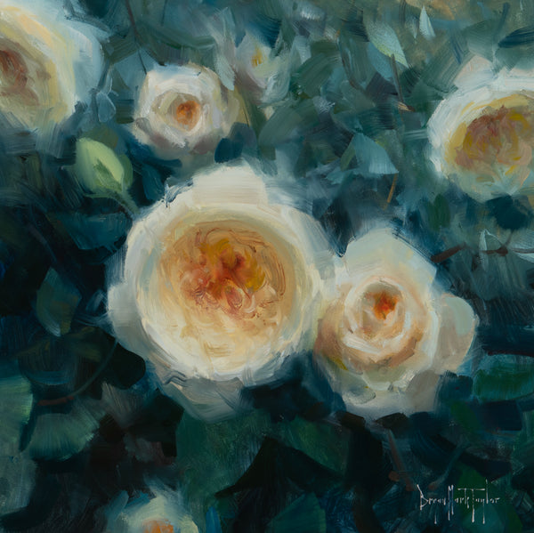 David Austin Roses