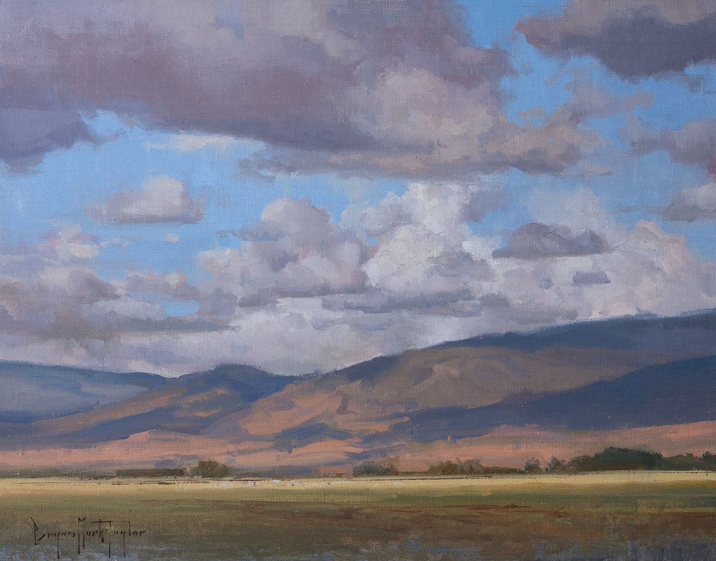 Fields Among the Clouds