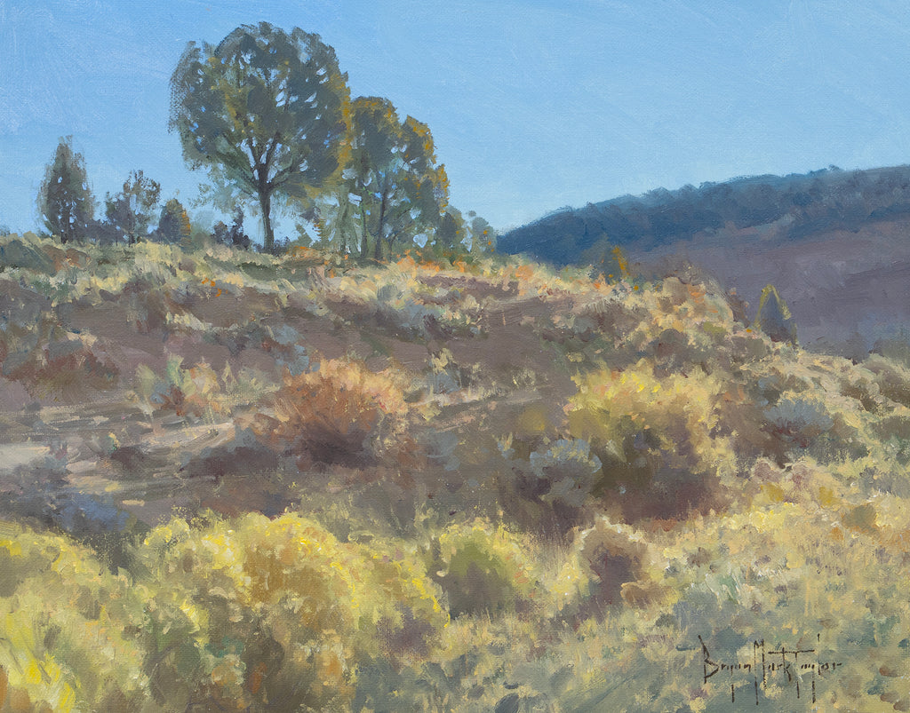 Kanab Canyon Brush