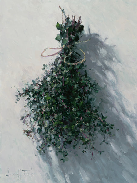 Oregano