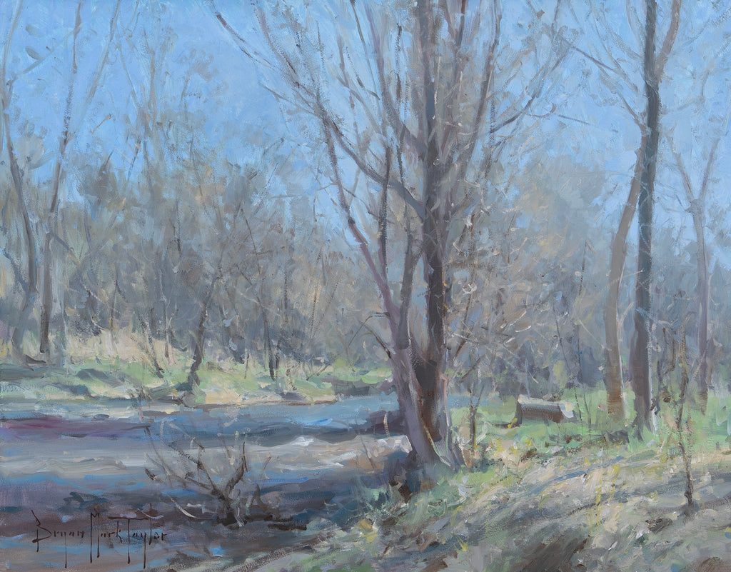 Spring Runoff