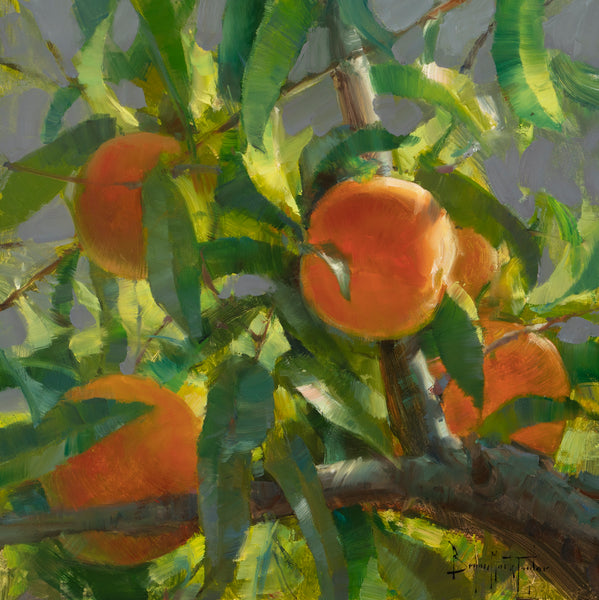 Peaches in Morning Light