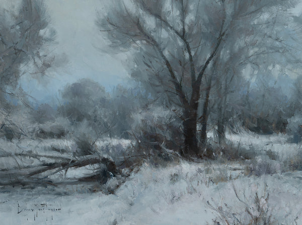 Winter Blanket