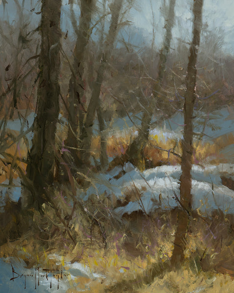 Warmth on a Cold Day